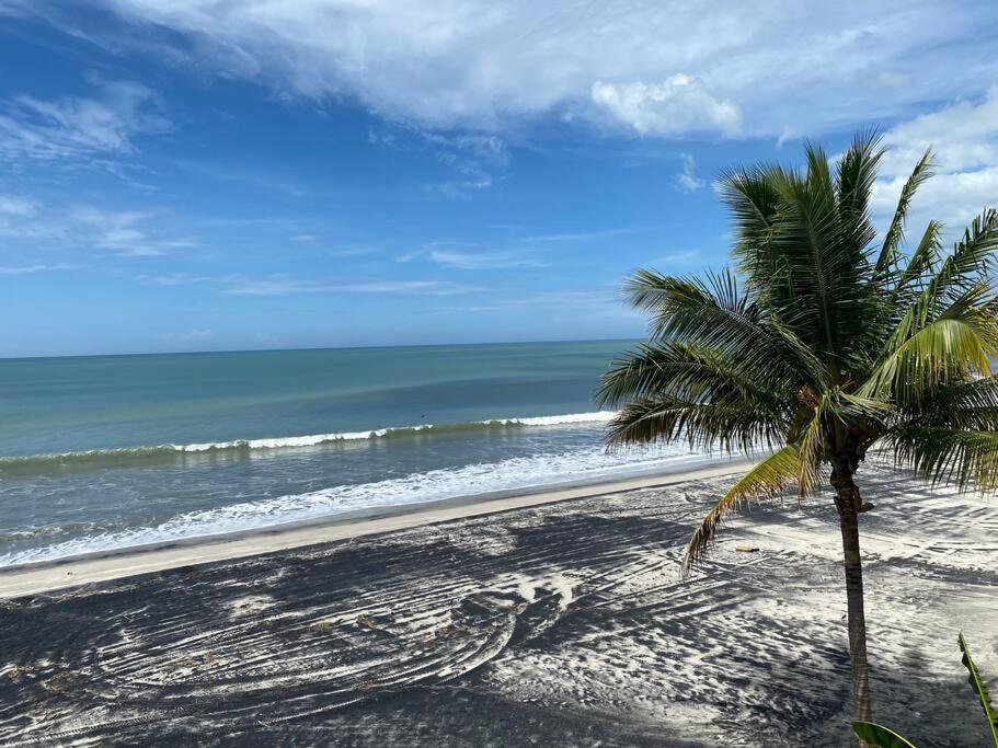 Coronado Beachfront Tropical Home! Playa Coronado Exterior foto